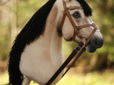 Inside subcultures: Hobby-horsing met stokpaardjes, een fenomeen uit&nbsp;Finland